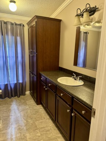 Bathroom 1 Sink