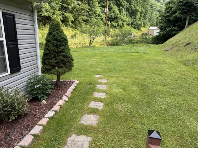 Front Lawn Garden